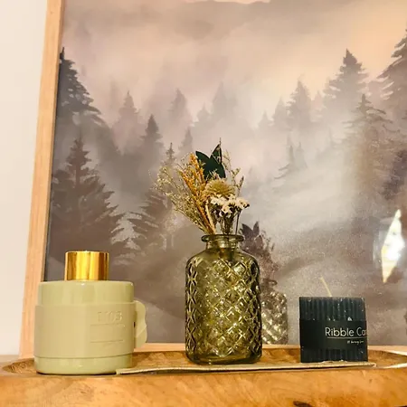 Le Chantoiseau Apartamento Muhlbach-sur-Munster